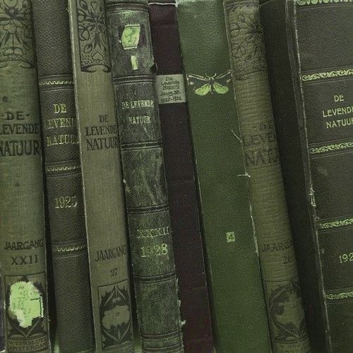 fuckarigato's tweet photo. Livros lidos em 2026; a thread ✨📖 https://t.co/c4jQ0py5KU
