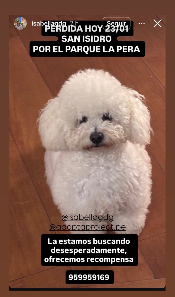 Se acaba de perder!!!! Atención en San Isidro/ Magdalena 
Ayudemos con un RT