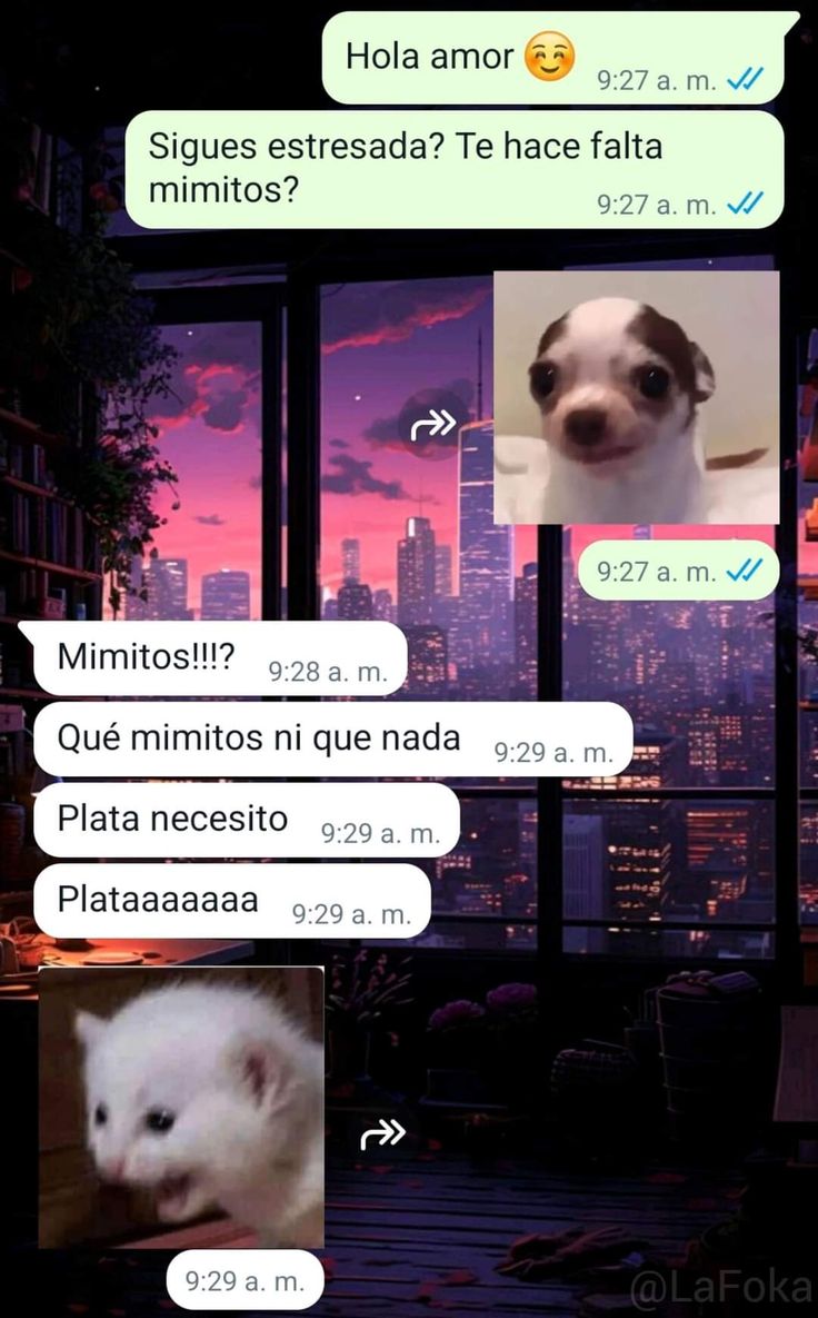 bjs_alejo2's tweet image. 