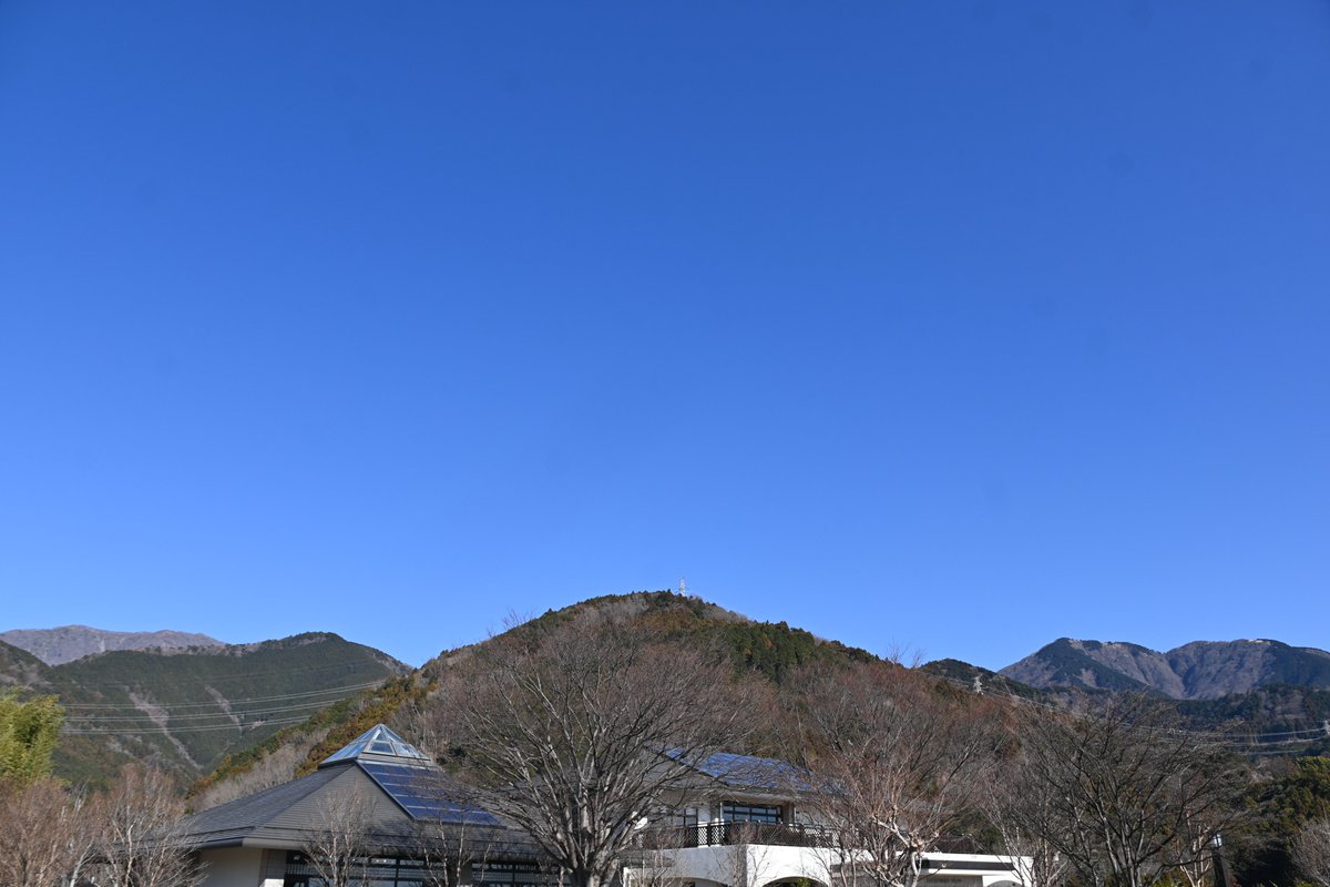 HadanoVC's tweet image. 8時40分の気温6.3度 晴れ
雲一つない青空が広がり、#鍋割山稜 や #三ノ塔、#二ノ塔 の山並みがよく見えています。日差しは届いても風は冷たく、日向でも寒さが身に染みます。
＃ハシボソガラス が強い向かい風にあおられてよろけていました。風のせいか、カワヅザクラに蜜吸にくる鳥の姿はありません。