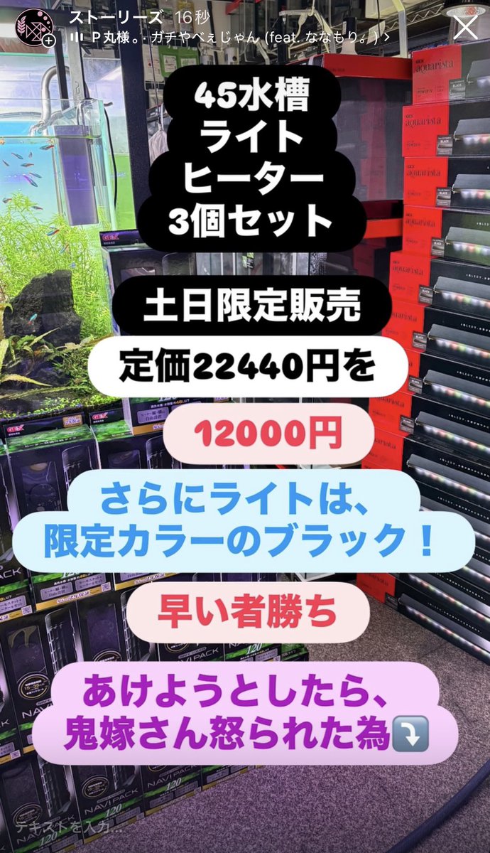 真雅えび tweet media