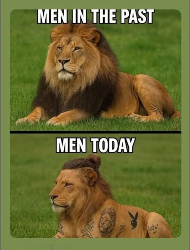 TheNorfolkLion's tweet image. 