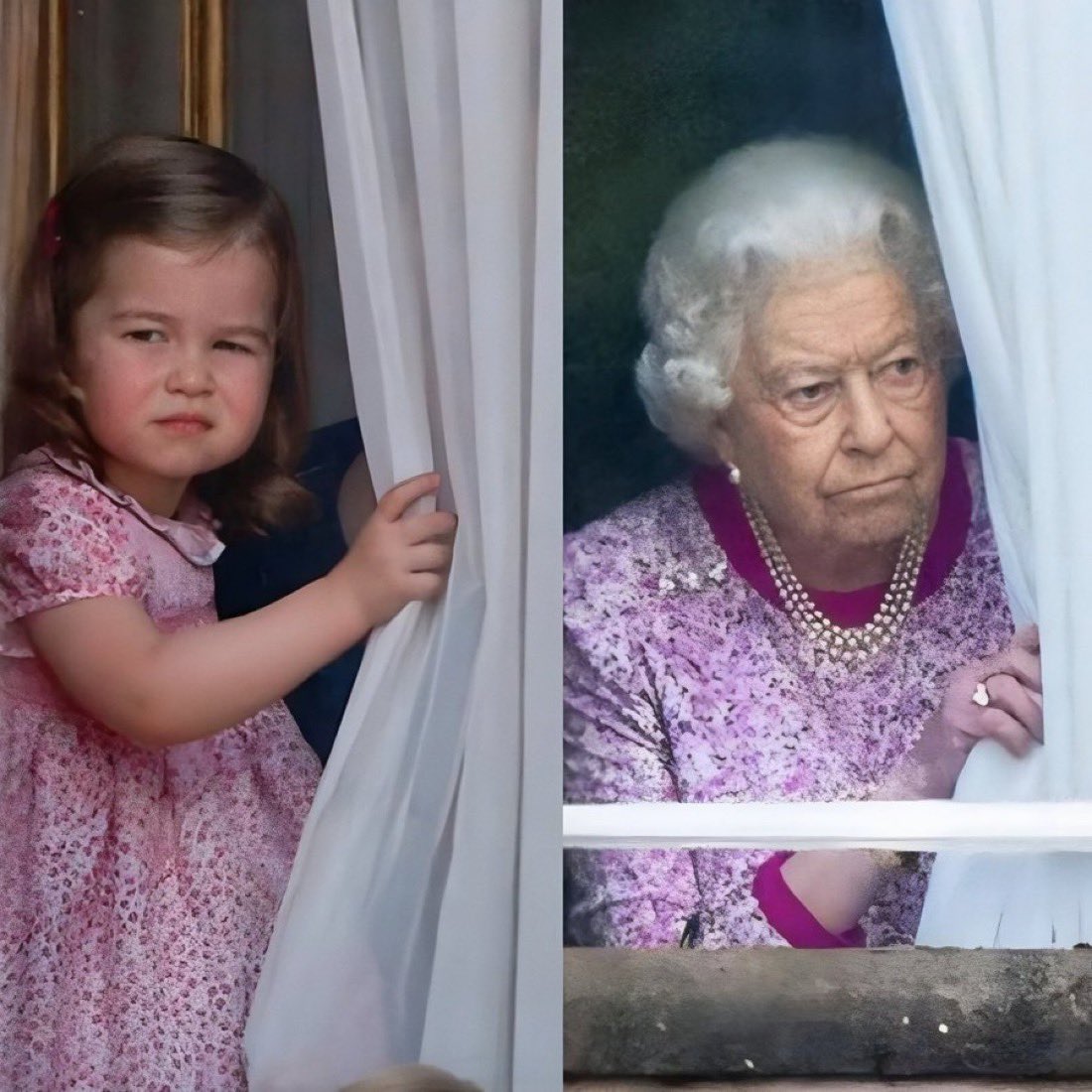 RoyalBee tweet media