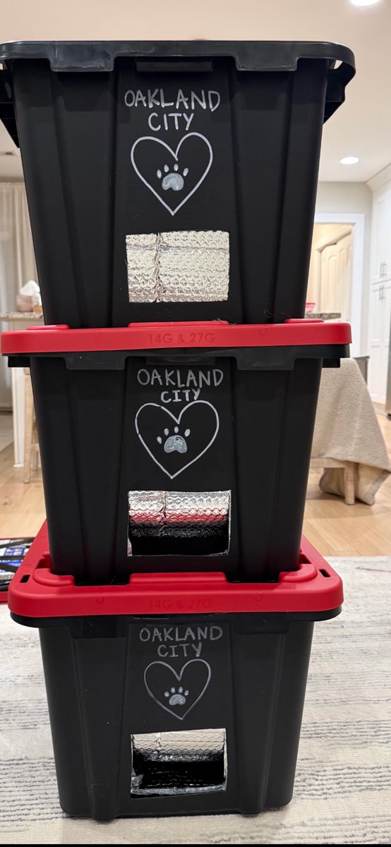 gandolf_s's tweet photo. Many were concerned about my 10 colonies not having shelters. They cost $25 each and many get put in the garbage the next day, so try again, make another one. One person donated for a shelter  for the black kitty after someone threw away the shelter❤️🙏.  With a 💔 told cannot leave a shelter it too will be thrown away again. He is still in the parking lot. This is the property of a detention center and completely heartless just like the food being thrown away. No humanity. BUT yes will still go and leave another and another…💔