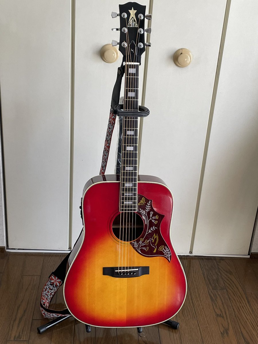 CANDA 202 メルカリ¥30000 ライブで使う安ギターを物色してたら刺さっ