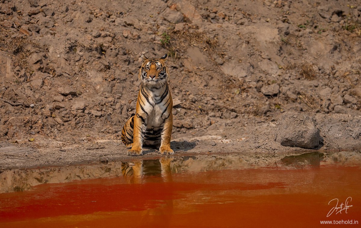 Jayanth Sharma tweet media