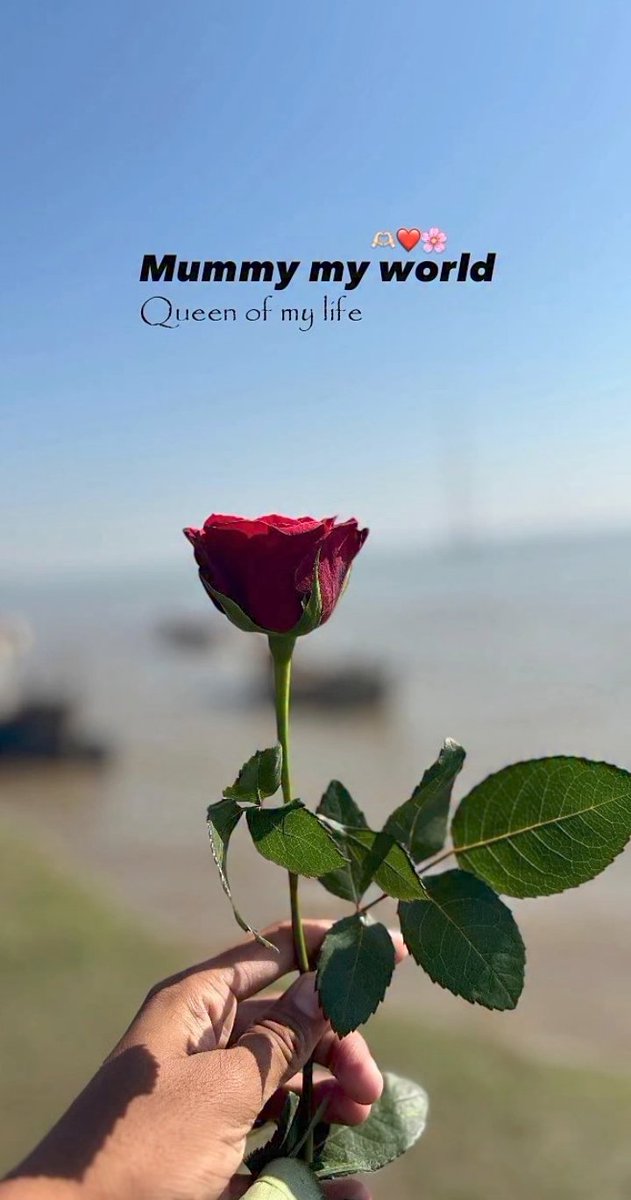 maa♡ V-174680304_2_565.jpg?pristine