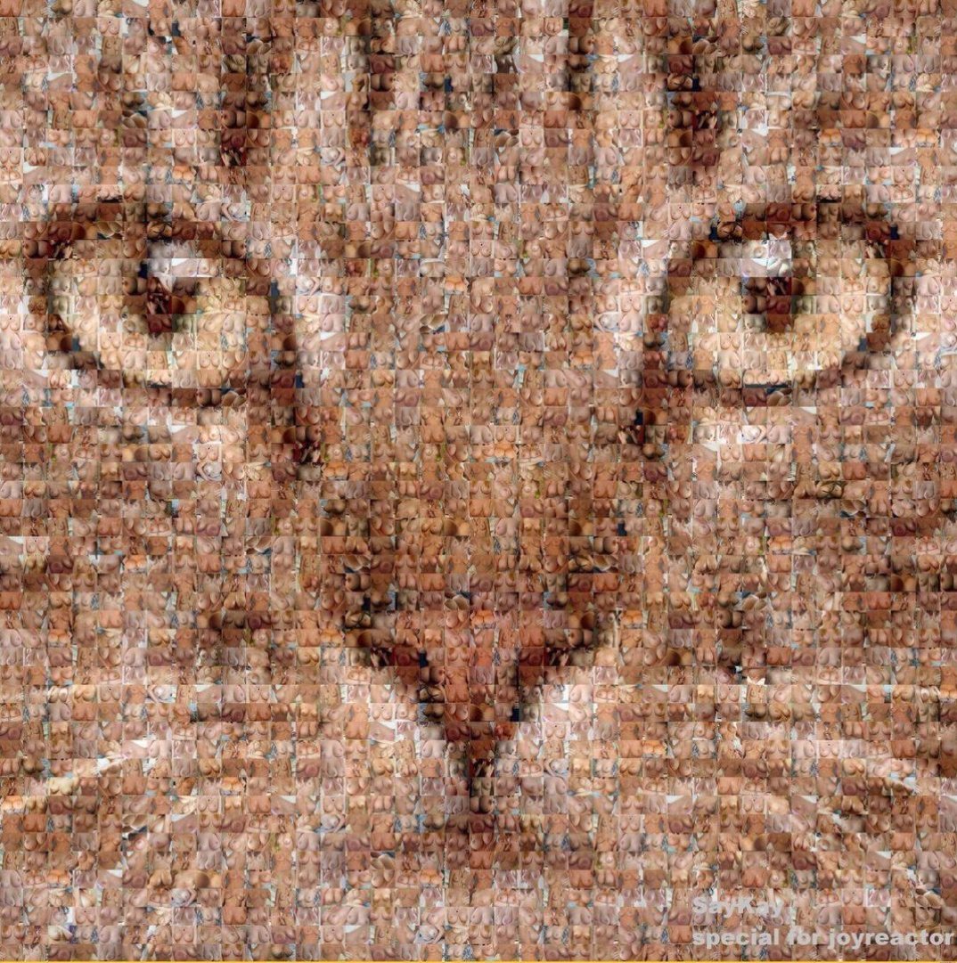 called_eben's tweet image. Zoom am
Zoom am well oh and tell me what you see 😏