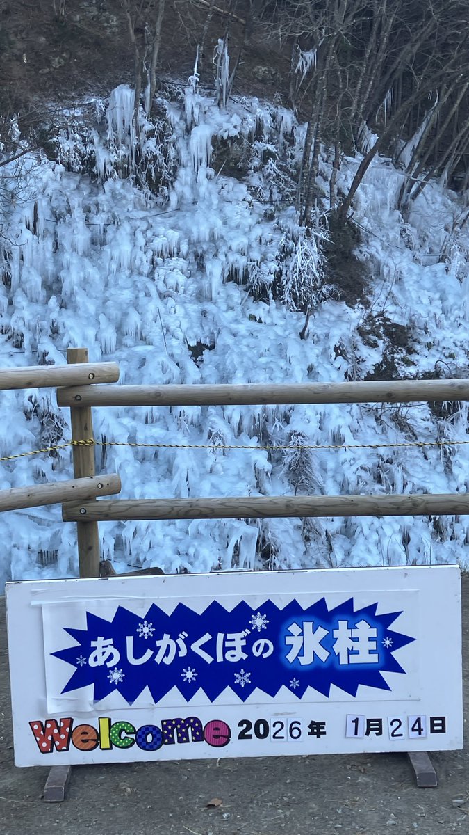 saitama254's tweet photo. 今日は今年初めてのドライブにあしがくぼの氷柱を見に行って来ました！
朝早かったので寒かった🤣 https://t.co/Y5Ydj2sQhz