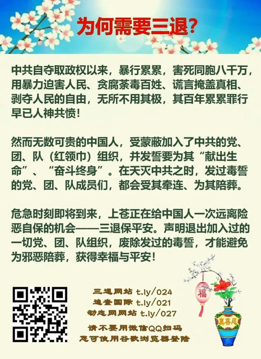 归真 tweet media