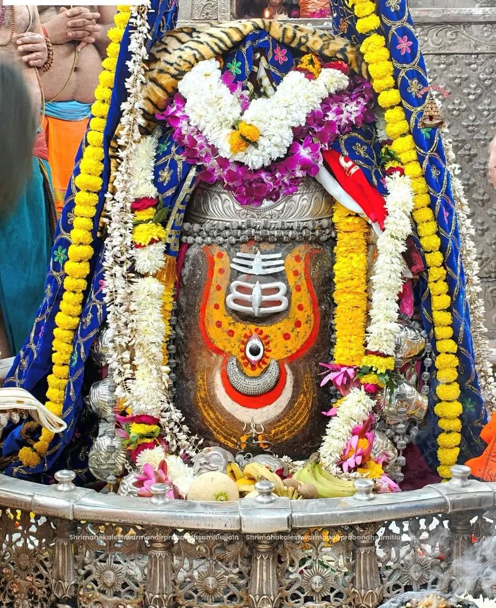 🙏🌹*Jai Shree Mahakal*🌹🙏
*श्री महाकालेश्वर ज्योतिर्लिंग का भस्म आरती शृंगार दर्शन*
*24-01-2026 कण-कण में महादेव*