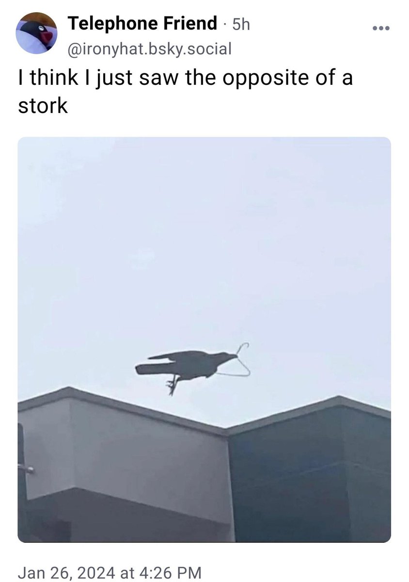 chayak (@chayak) on Twitter photo 