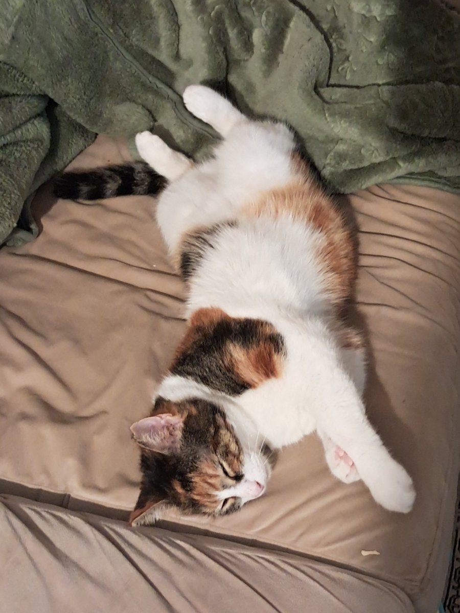 "Dünya yanıyor, ben yan dönüyorum."