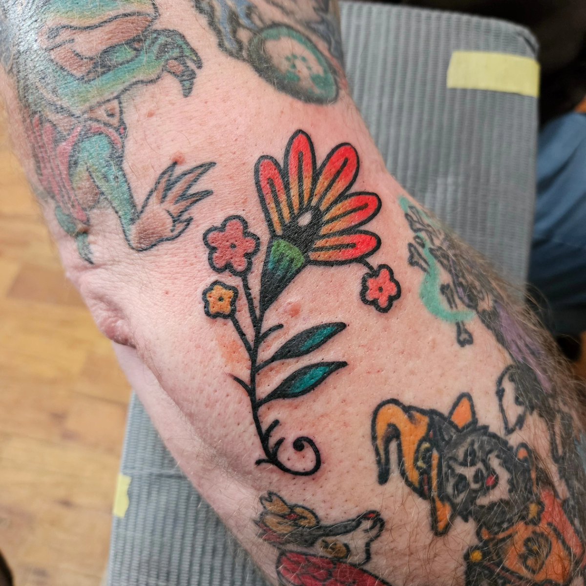 BlastodermMan tweet media