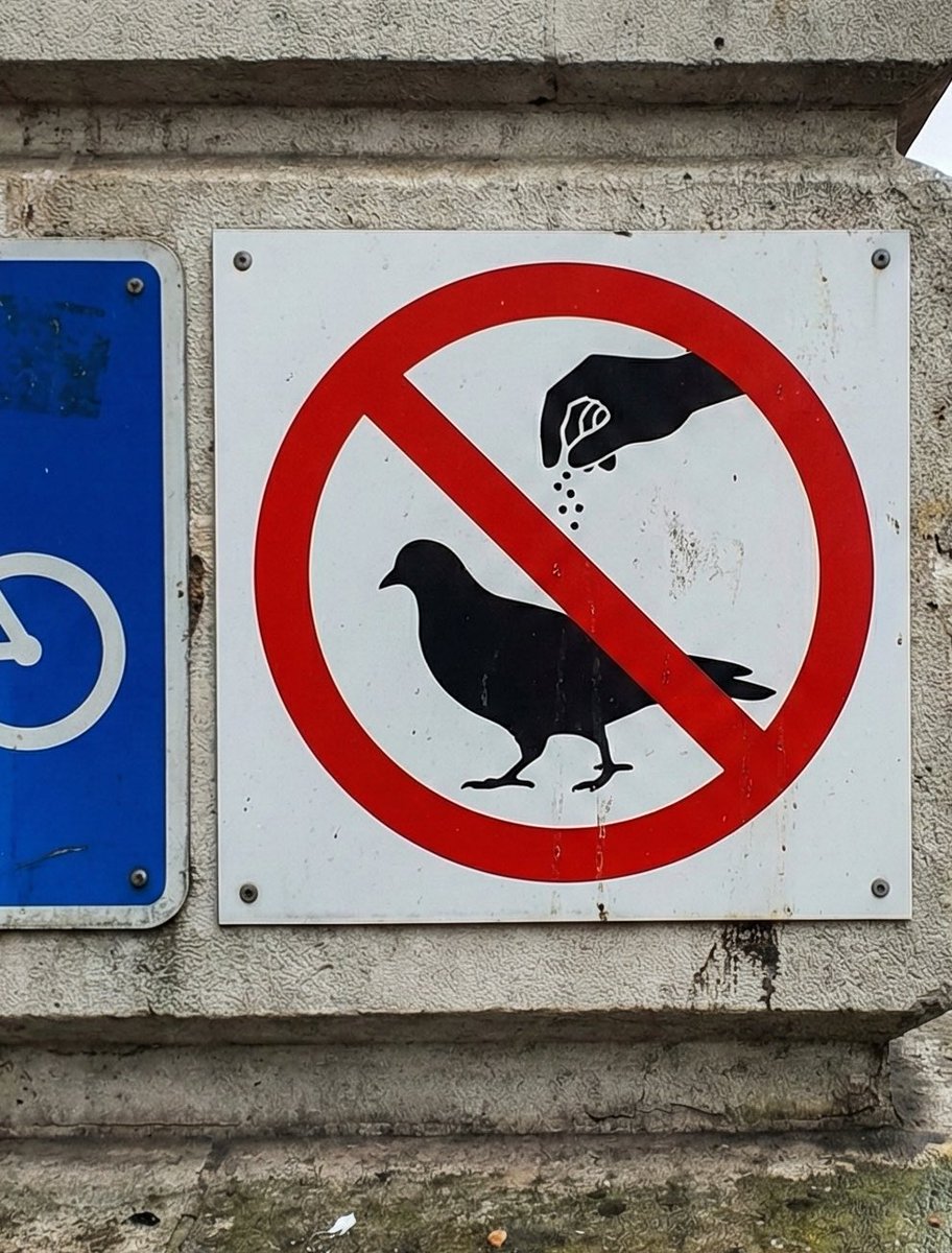 비둘기에게 밑간하지 마시오.