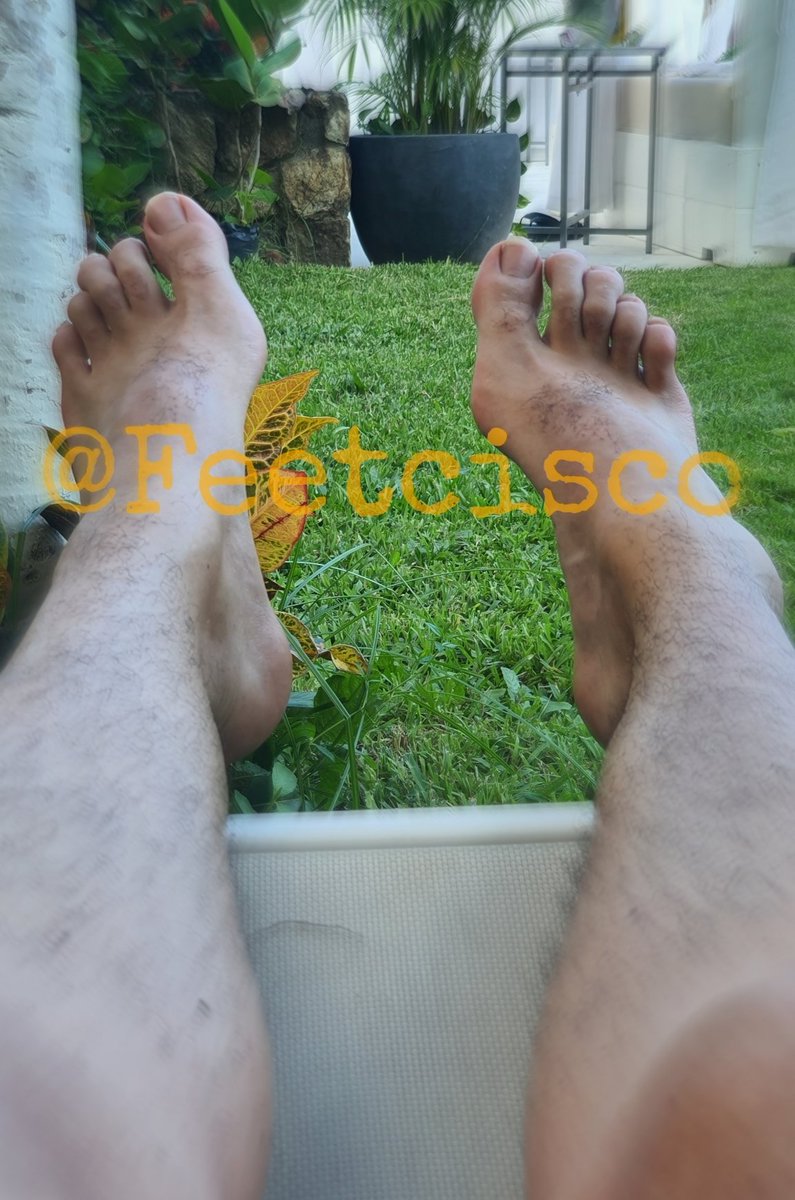 Sun-drenched, hairy size 15 tops and toes spread wide like they own the world and they own you.
#findom #footfindom #cashmaster #giantfeet #paypig #malefeet #hairyfeet #toes