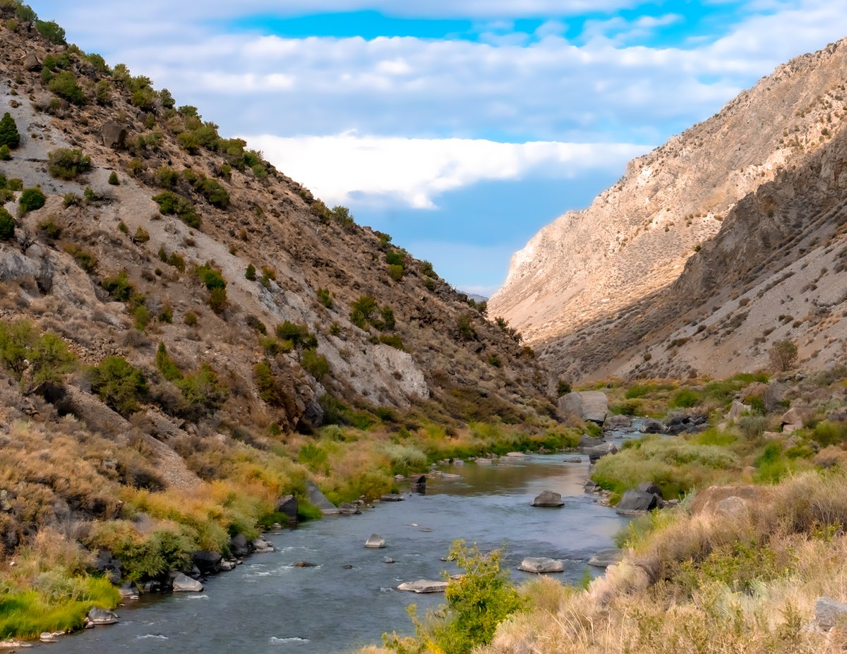 NewMexicoDrive's tweet photo. #NewMexicoDrive #RioGrande #Taos #LandOfEnchantment #HighDesert #NMTrue https://t.co/G7Rdzlf5kA