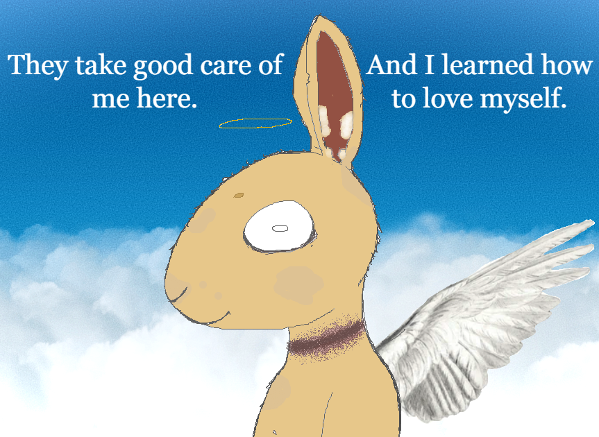 MizaStranger's tweet image. hola chicos les doy otra liebre