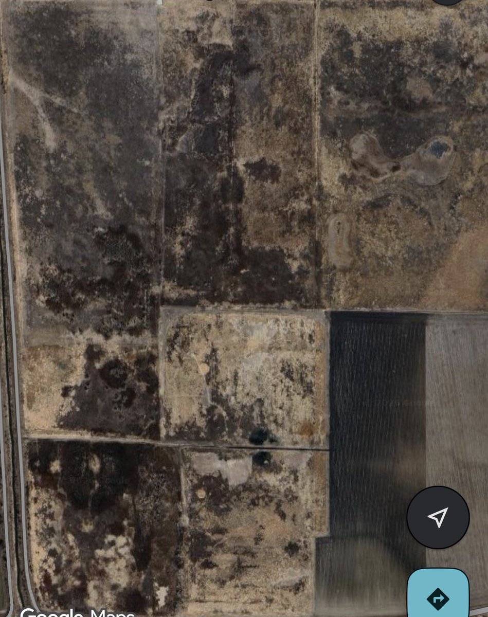 Every Day Is Beef Day tweet media