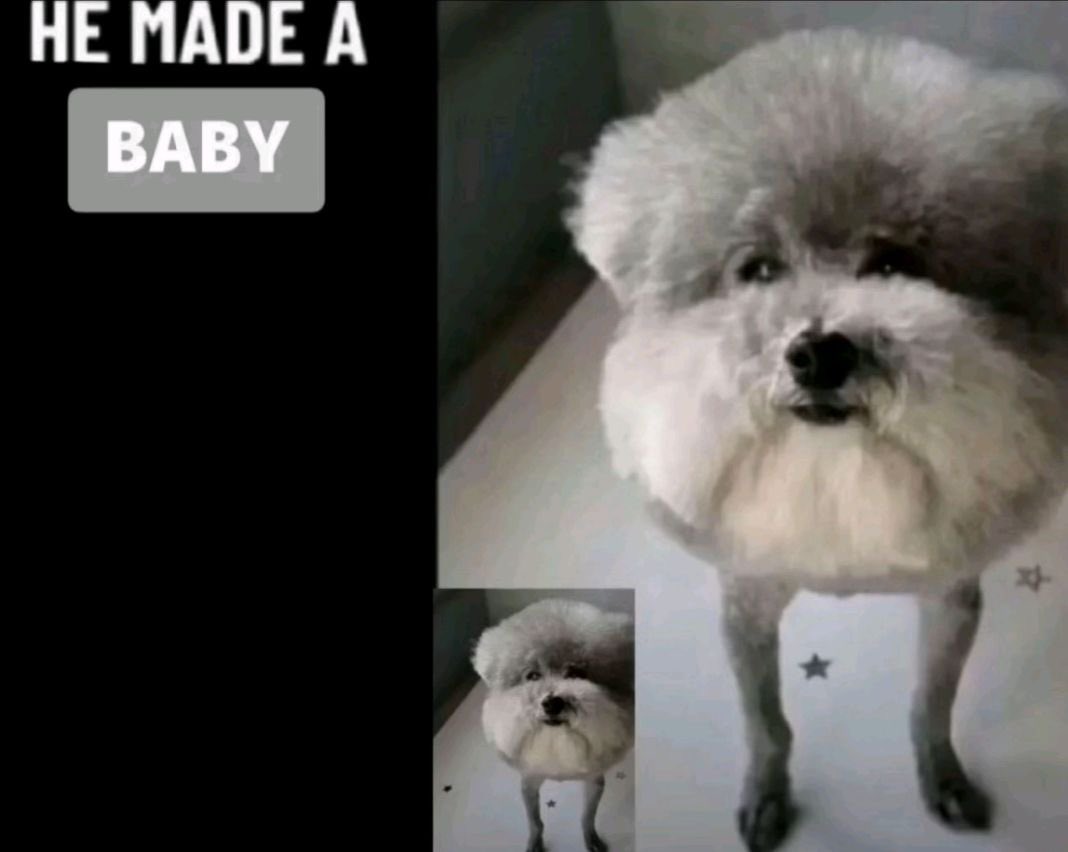 femcel kunkida sex master 1000 tweet media