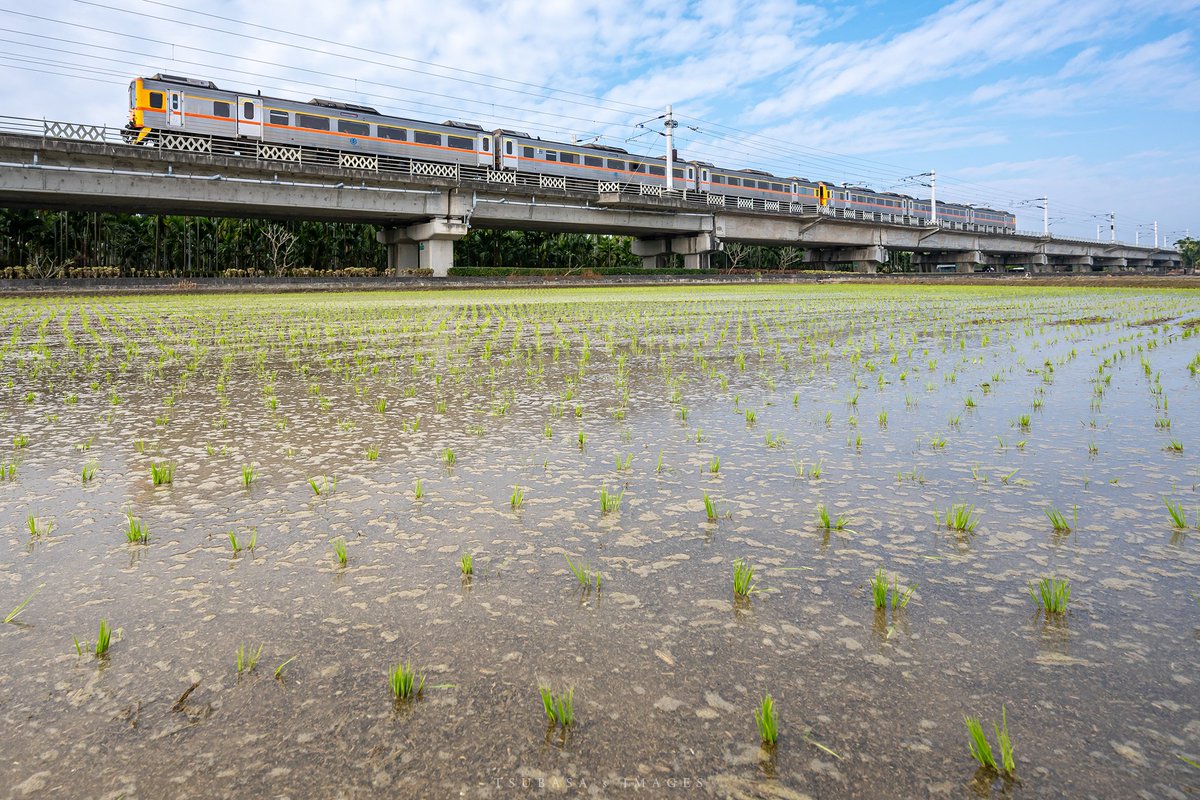 F. P. Cheng tweet media