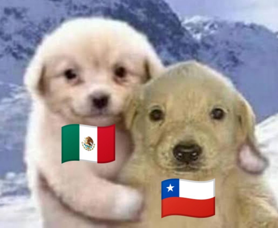 BTSDailyChile's tweet photo. Los queremos mucho ARMYs de México, no merecen 😔 https://t.co/wyjvxFHJxK