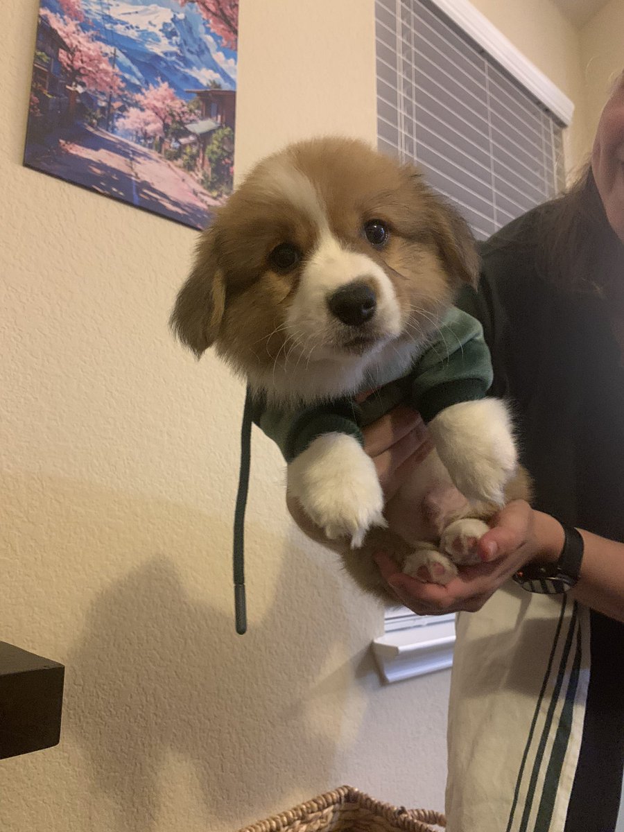 Aaron McInnes tweet media