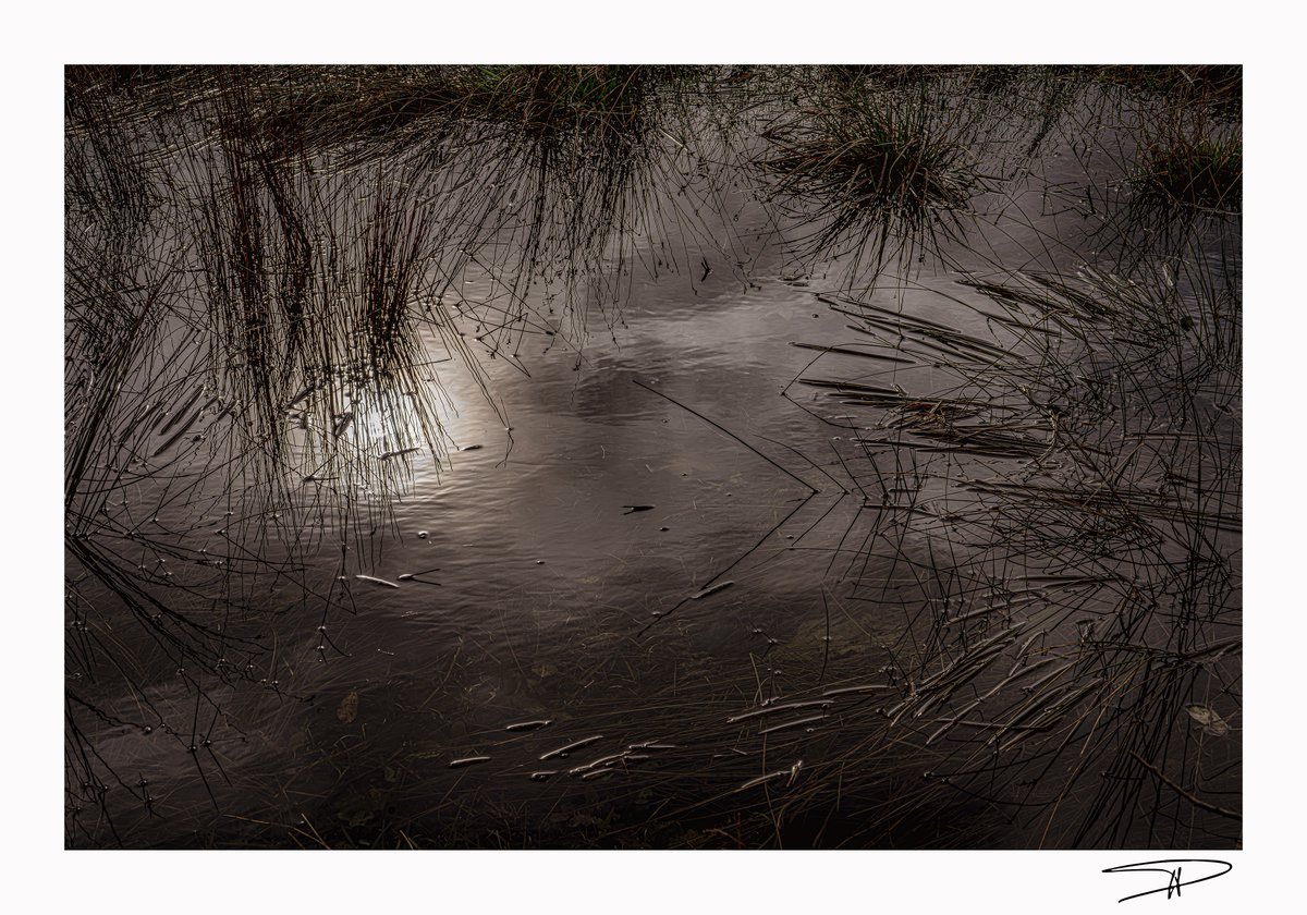 PIPIENPierre's tweet image. Dans la flaque...
#pontarlier #Doubs #FrancheComté  
28 octobre 2025