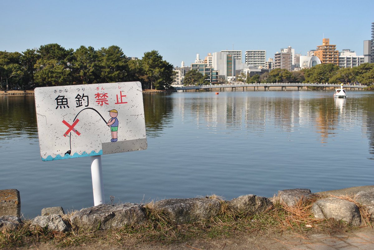 momochaaanmac's tweet photo. ⛲️
#D3000 #Nikon #スナップ #snap #大濠公園 #写真好きな人と繋がりたい https://t.co/hTrpi0L5wz