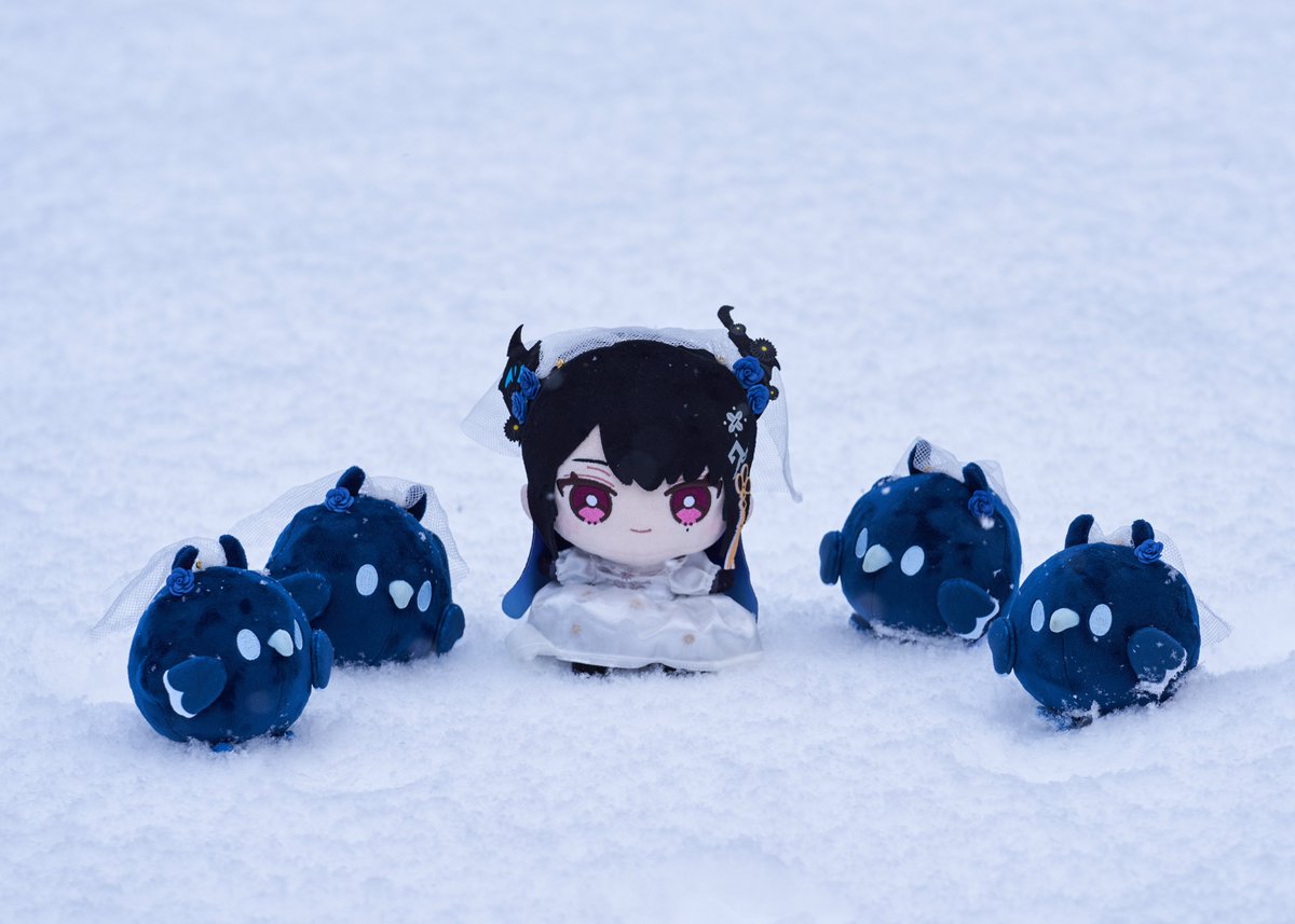 morklrr's tweet image. Stream お嫁♡HOLIC !! 💙👰‍♀️💙 #RavenCrafts #RissaMusic #お嫁HOLIC

(pls pretend the snow is flower petals, we don't get many flowers this time of year 🥺👉👈)