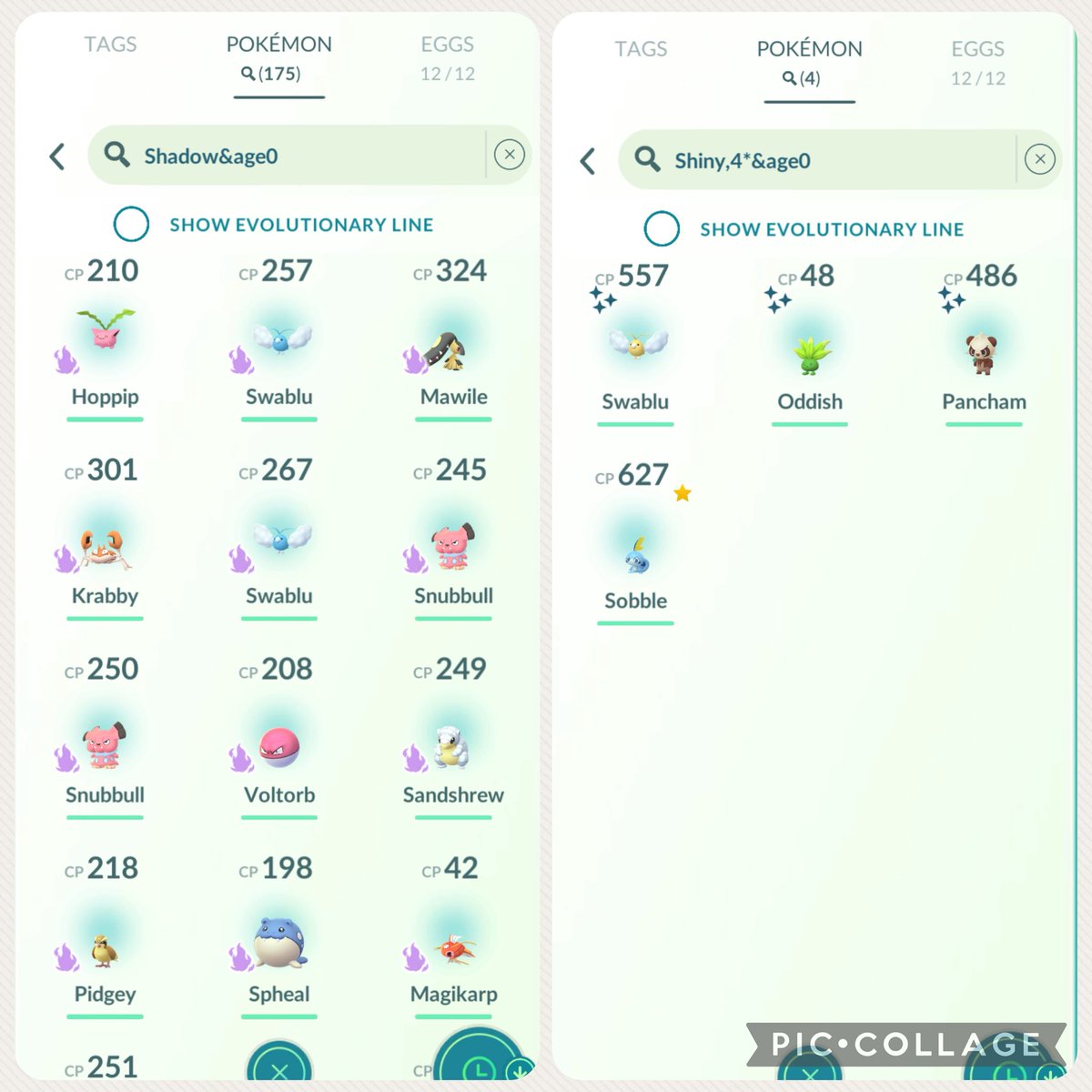 Final Stats:
- 162 grunts 
- 13 leaders 
- 1 hundo 
- 3 shinys

Thank you all for tuning in today! I had lots of fun doing this type of grind. Lots of walking done, I just wish we had better weather over here. Good night! 💪