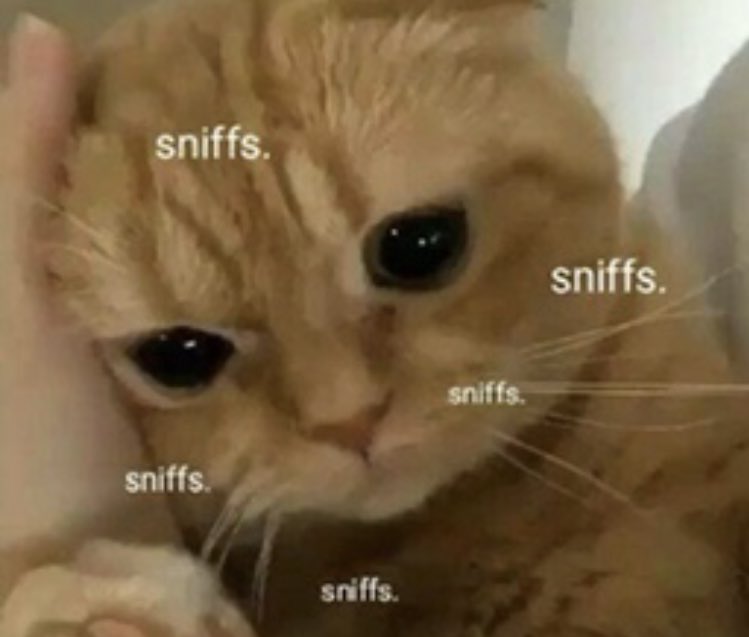 Ustedes no saben lo mucho que sigo llorando neta, por todas las injusticias que nos está haciendo Ticketmaster, gracias a ellos no conseguí mi boleto, neta duele un buen:(