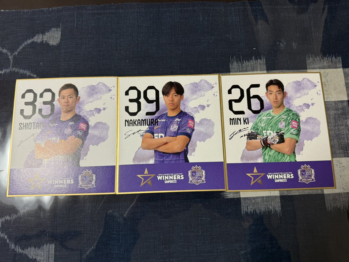 サンフレッチェ広島 ルヴァンカップ優勝記念プレイヤーミニ色紙 譲 26