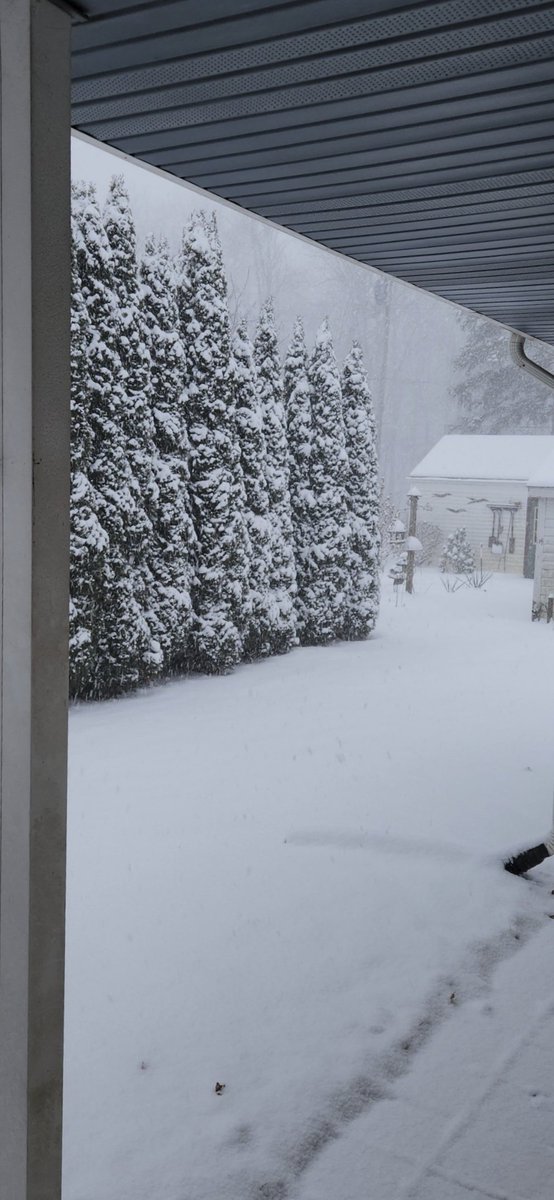 Okay...It is officially cold in Michigan. 
The pictures of the backyard and side yard are from January 14th. You can't even see the the lake behind the trees in the third photo, a whiteout on the lake. ❄️