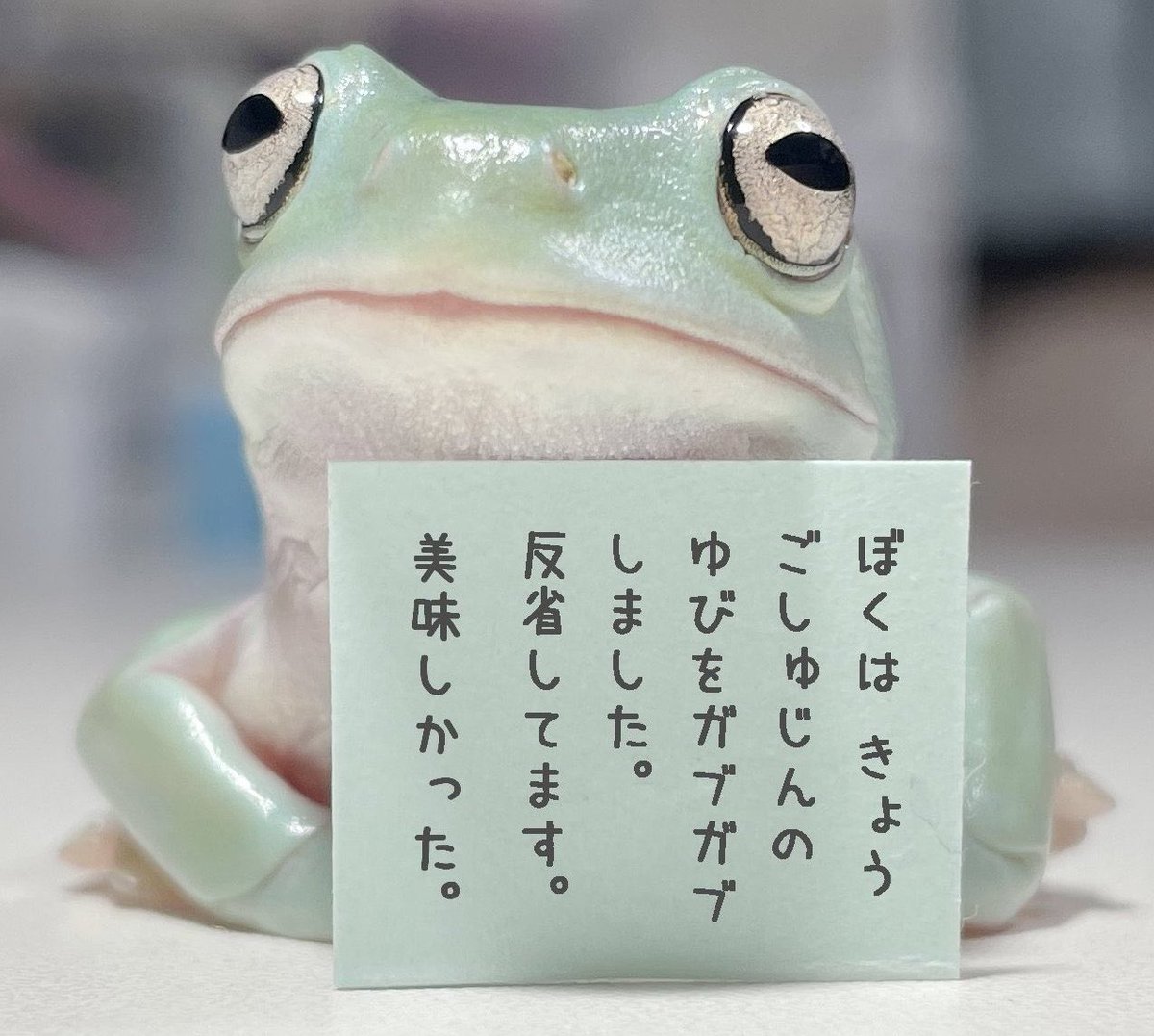 かえる (@kaeruZangyo) / Posts / X