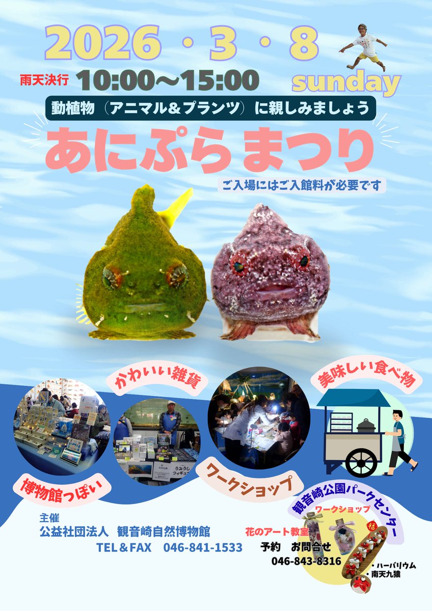 自然がもっと好きになるきっかけは、＃あにぷらまつり　
2026年3月8日（日）あにぷらまつり観音崎から東京湾集水域、三浦半島の豊かな自然を紹介し人と自然をつなぐかけはしとなることを目指しています【あにぷらまつり】は自然と人をつなぐ特別なイベントです　＃日本さかな専門学校博物学サークル