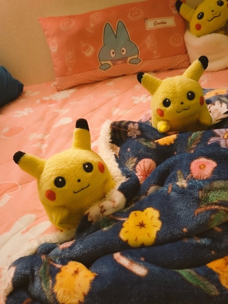 初期ピカの集い tweet media