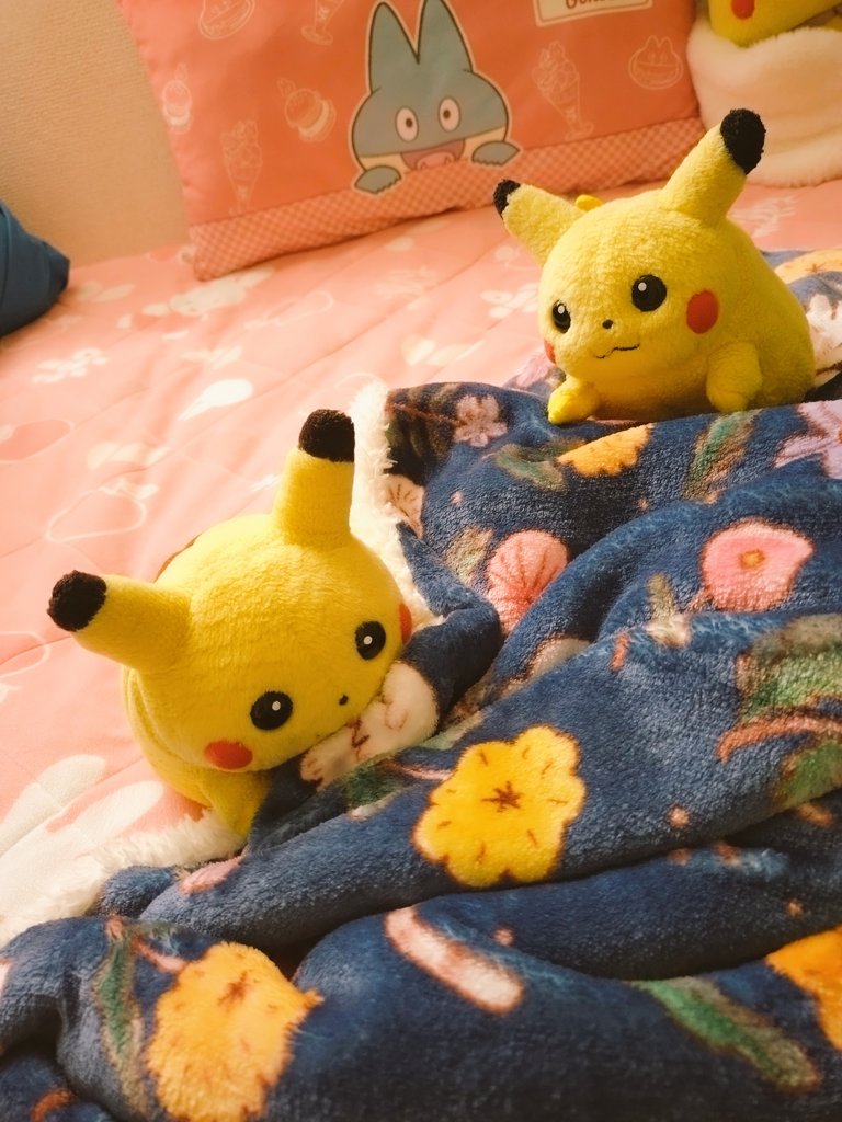 初期ピカの集い tweet media