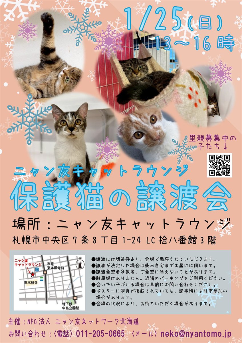 ニャン友ねっとわーく北海道 – 保護猫とあなたを繋ぐ～北海道で猫と