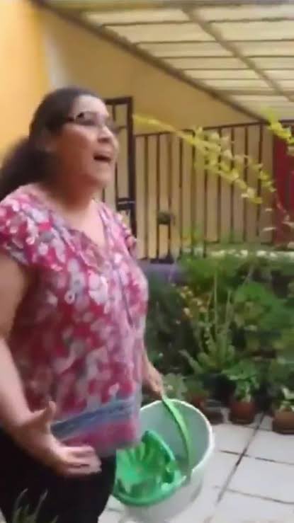 l0rdAlexX's tweet photo. En menos de 7 años, Lenia Batres pasó de vivir en una vecindad a viajar en camionetas de lujo y pagar 40 mil pesos por un retrato para su oficina. 

Y que no salgan los chairos con que esto no contradice a la austeridad republicana porque ni siquiera lo paga con su salario. https://t.co/hOUDCt5bZj