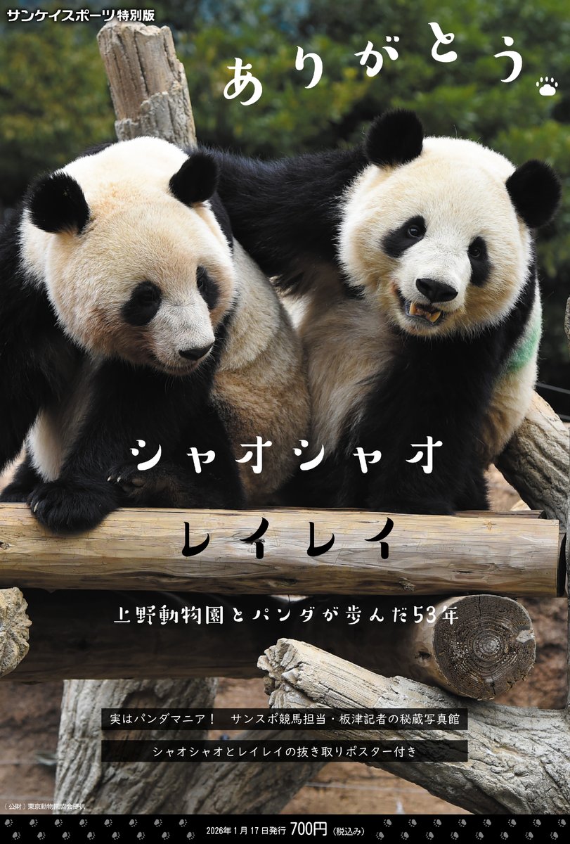パンダ リアル 値下げ 新品 🐼🐼🐼🐼🐼🐼🐼 #シャオレイ パンダ新聞 好評発売中！ 特別版