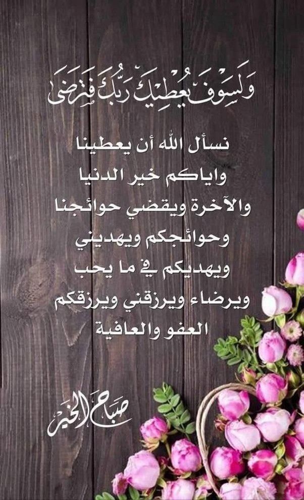 WalidLotfy14's tweet photo. https://t.co/mZFlNIgScx