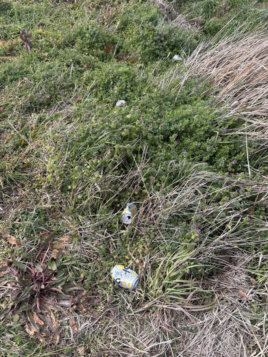 急募
畑の前で飲酒運転（推測）してる高齢者に鉄槌を降す方法

・ここ数日でゴミが増えた
・1日2.３回そこに普段見ない車が停まってる
・犯行現場を目視はしてない