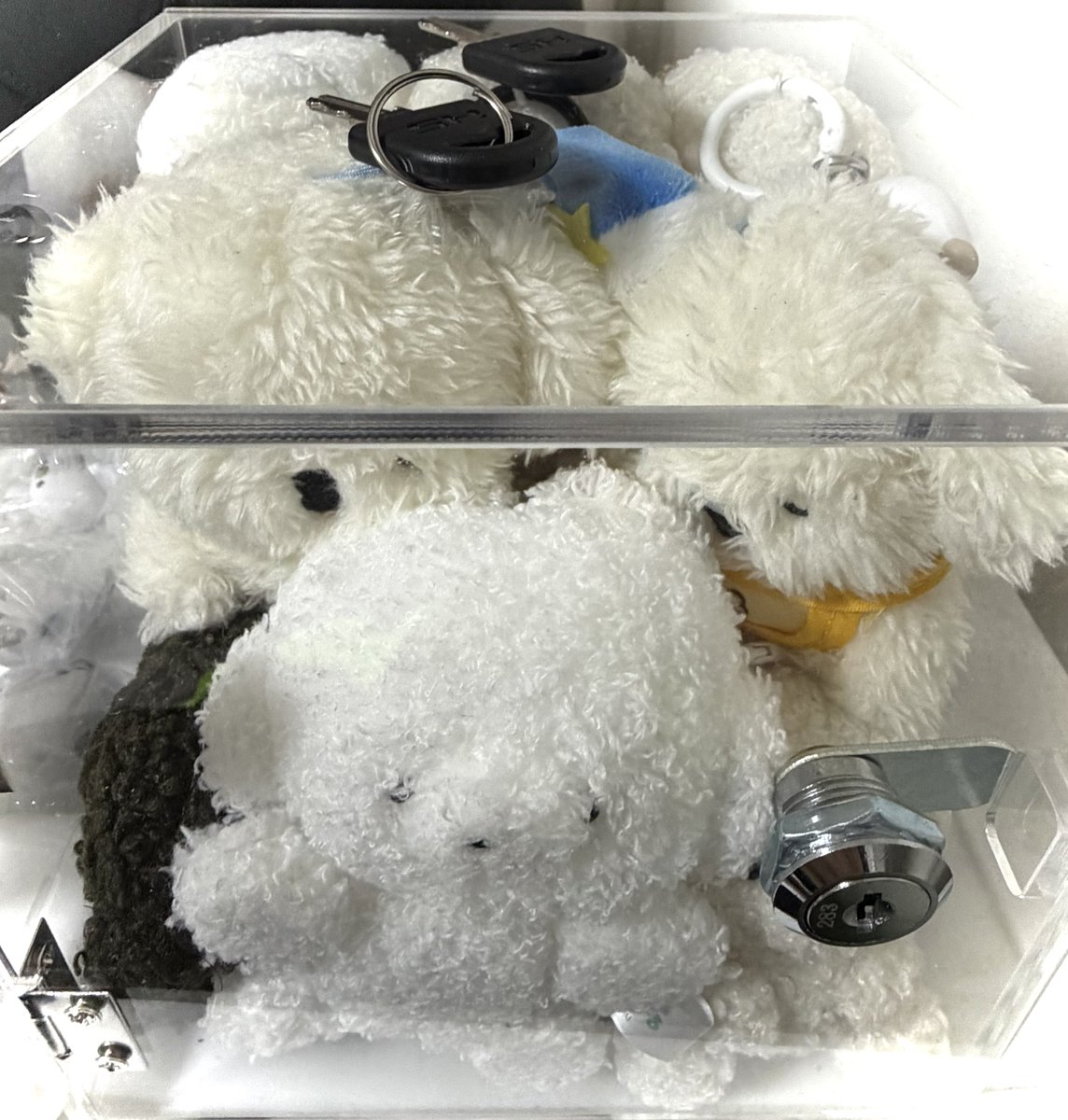 🧸‎かなた🧸【広島県産歌舞伎町ホスト→内勤】 tweet media