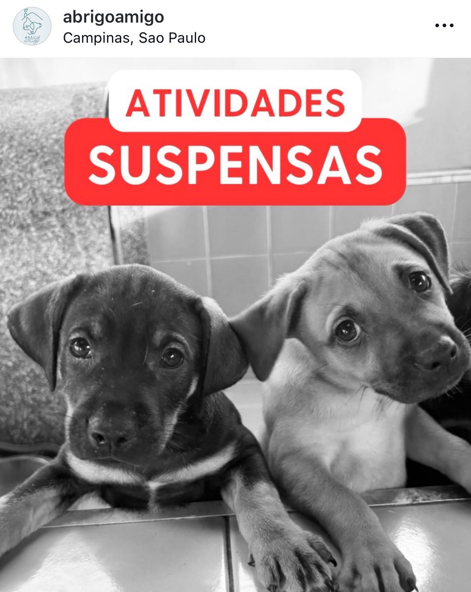 lalailand's tweet image. gente, um abrigo de animais que eu conheço suspendeu as atividades de resgate porque tá uma dívida de uns 30 mil

se alguém puder ajudar doando o que puder, ou divulgando ❤️

49.744.718/0001-81
