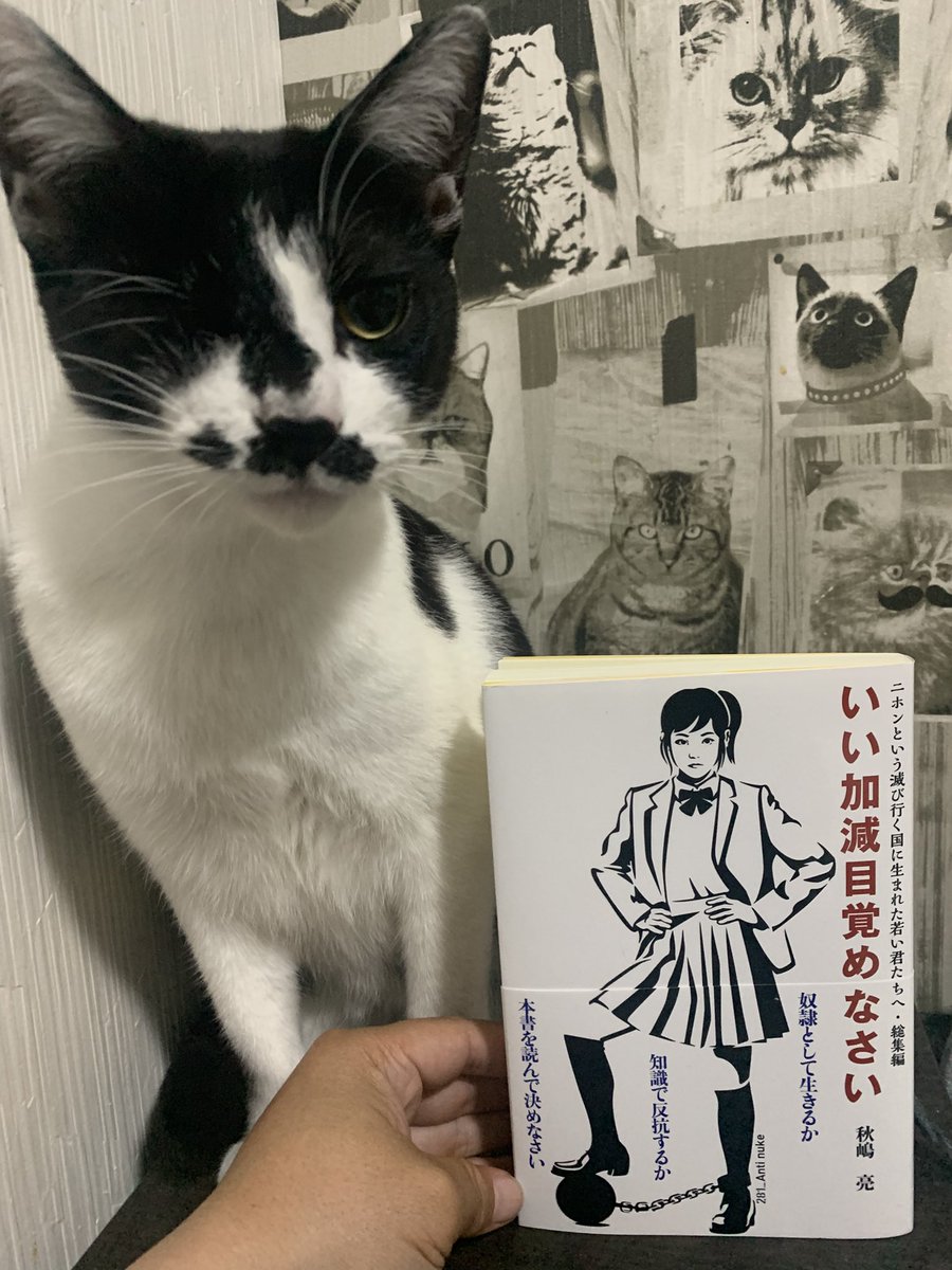 onakapecorina's tweet image. 動画お借りします！@nvskjp 
日本のみなさん、目を覚さないと高市早苗に殺されますよ？
#この動画は高井早苗日本政府の悲願