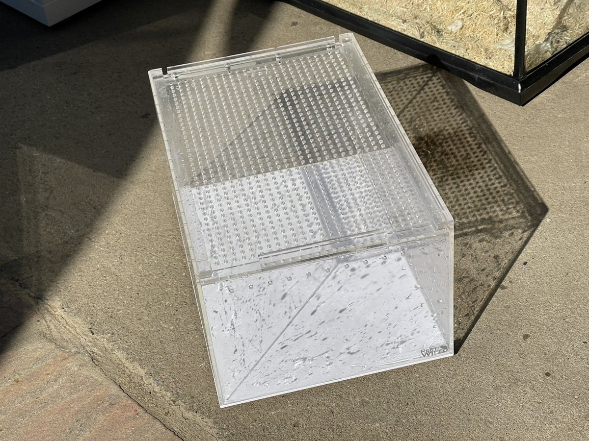 買い取りました‼️ repti wild レプタイルボックスM この用品が気に