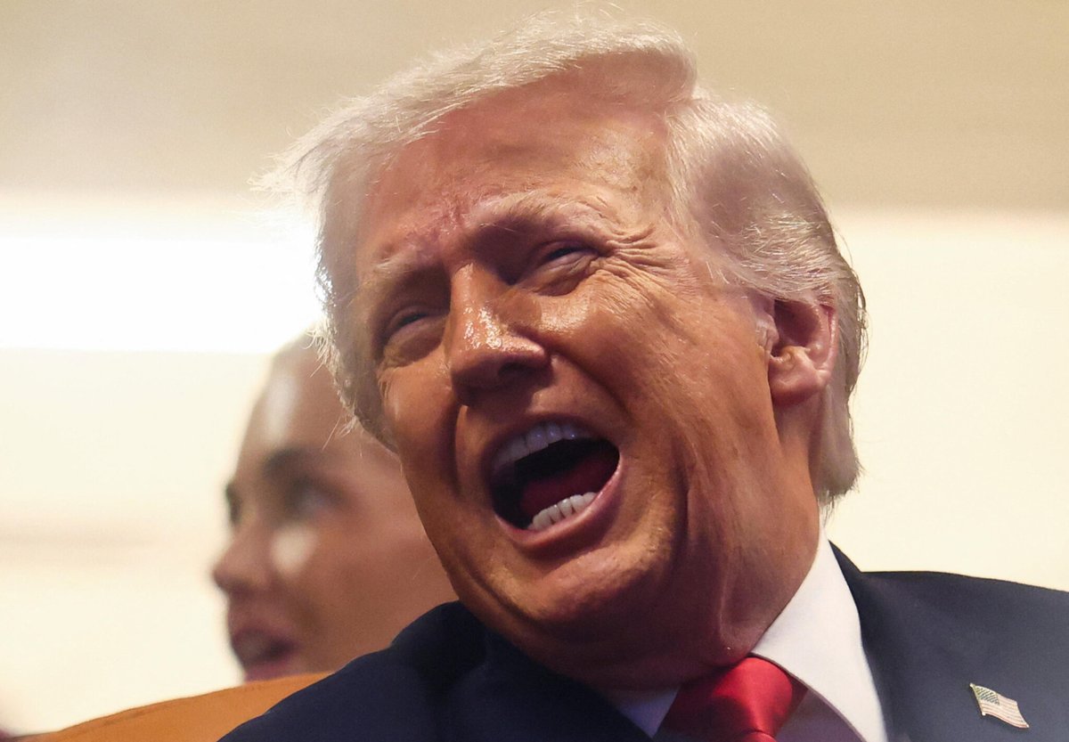 le_Parisien's tweet image. « Il s’enfonce dans une régression infantile » : la santé mentale de Donald Trump interroge jusque dans son camp
➡️ l.leparisien.fr/oLbl