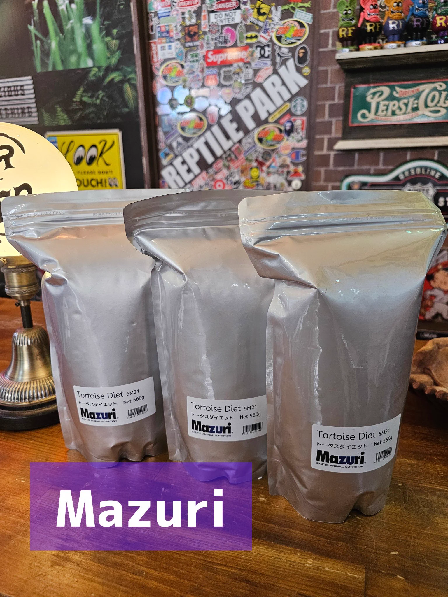 ちゅらトカゲCH(REPTILE PARK) on X: 