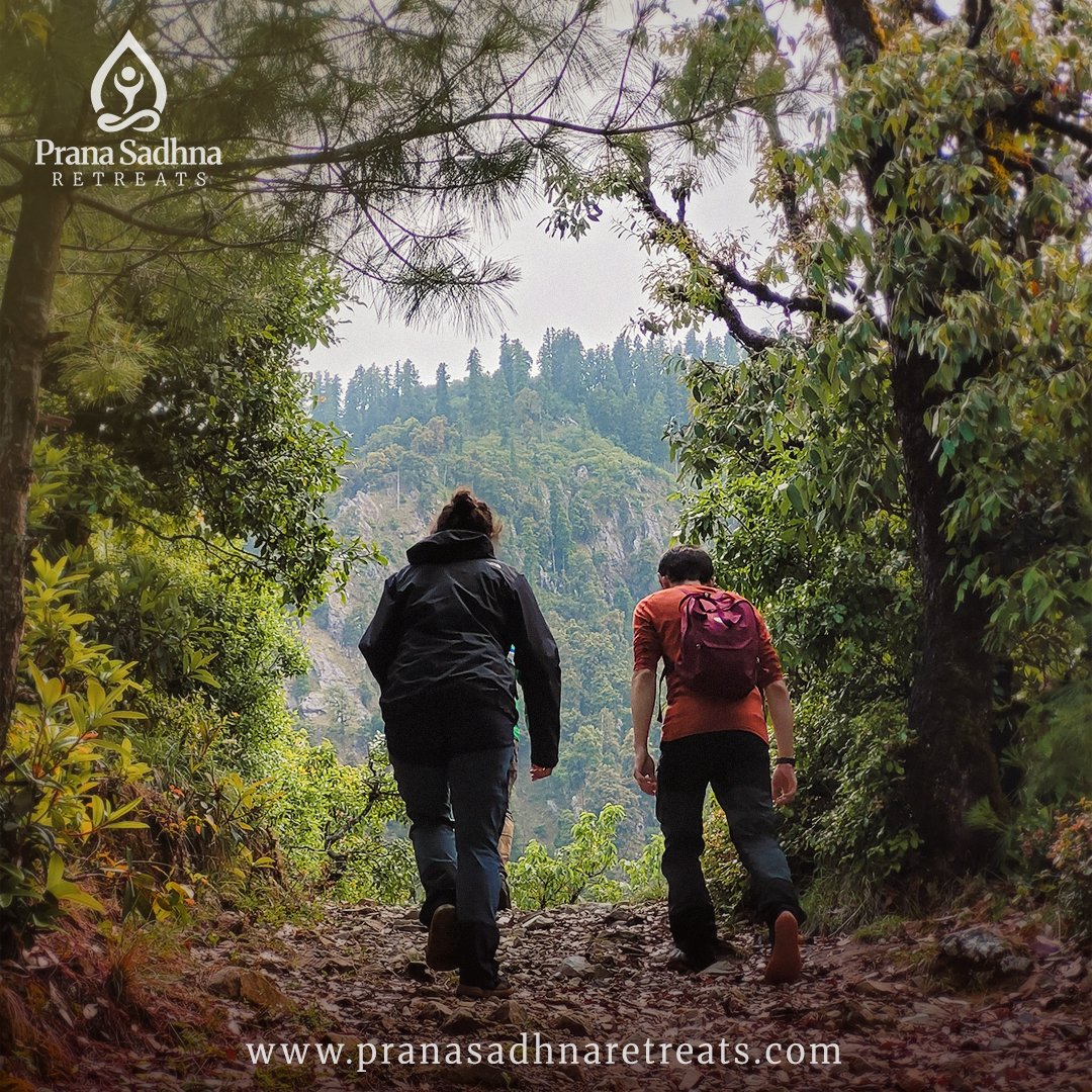 PranaSadhna's tweet photo. 🌄 Pran Sadhna Retreats Presents
✨ Kanatal Wellness Retreat & Surkanda Devi Temple Hike
A journey into stillness, devotion and Himalayan serenity.
#yoga #Yogaretreats #retreat #mindfulness #wellnessretreat #yogajourney #selfcare #travel #nature #yogi #mountaintrack #surkandadevi https://t.co/FgsUaRtMDT